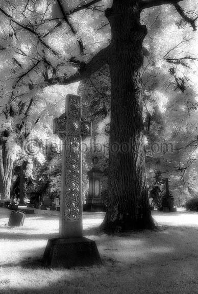 Oakwood Cemetery, Saginaw, MI