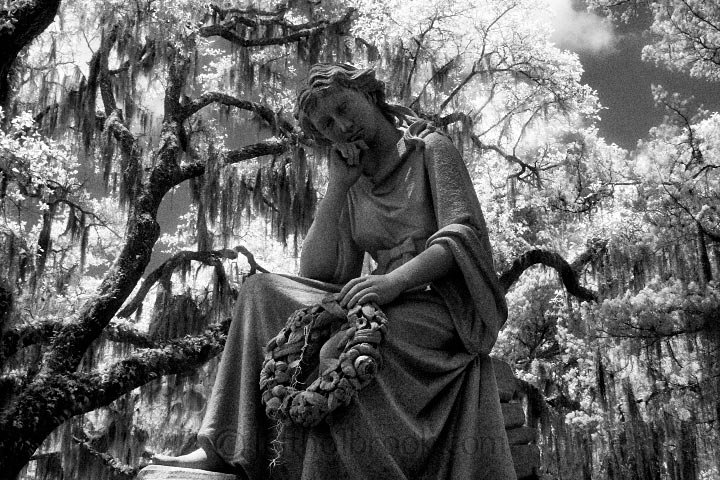 Bonaventure Cemetery, Savannah, GA