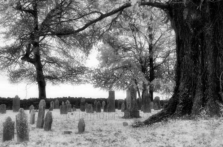 Roadside graveyard near Spring Hill, TN