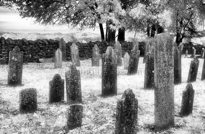 Roadside graveyard near Spring Hill, T